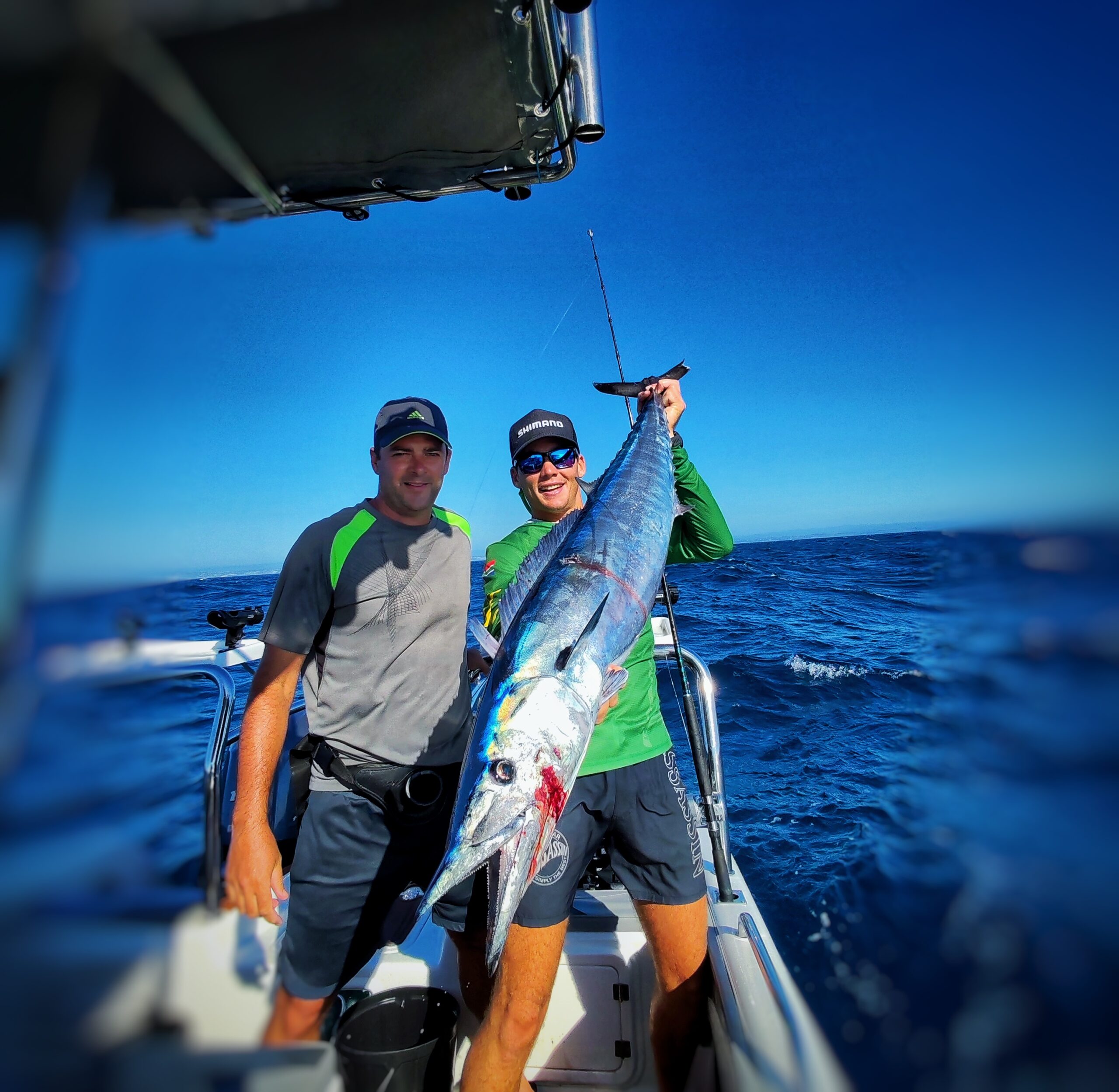 IMG_20250104_074344 scaled