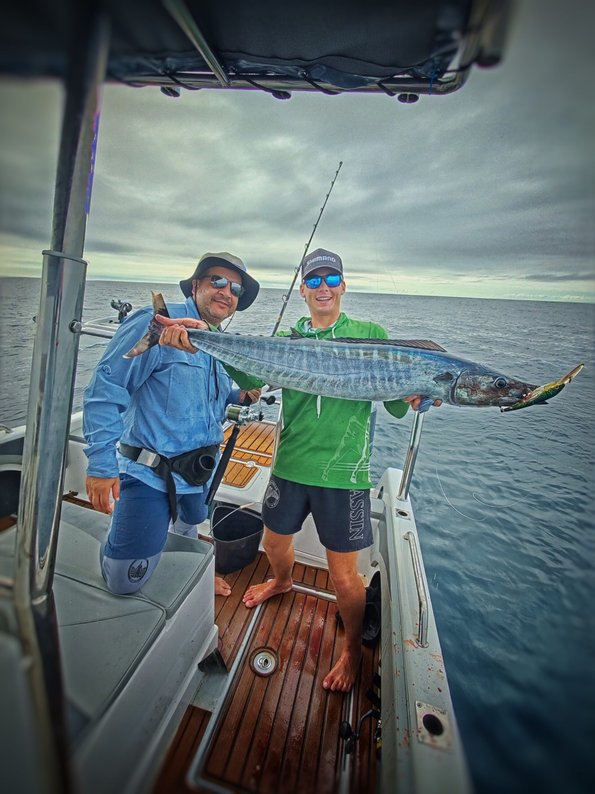 IMG_20250111_075325 scaled